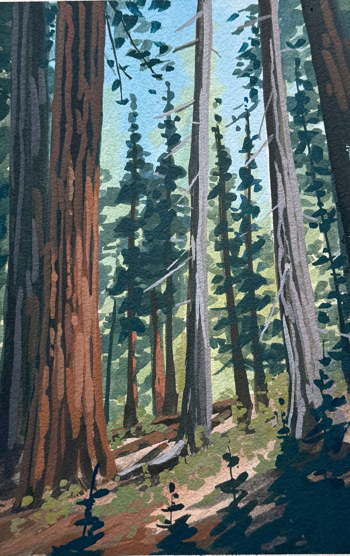 'Among the Sequoias' Original Gouache Painting