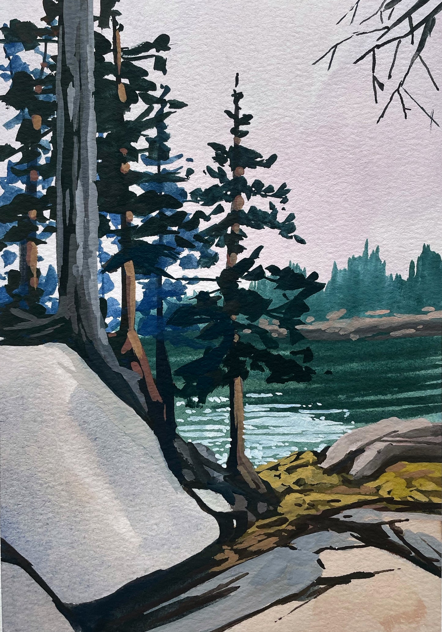 'Coastal Gem' Original Gouache Painting