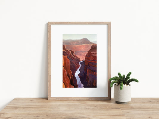 'Grand Canyon' National Park Art Print