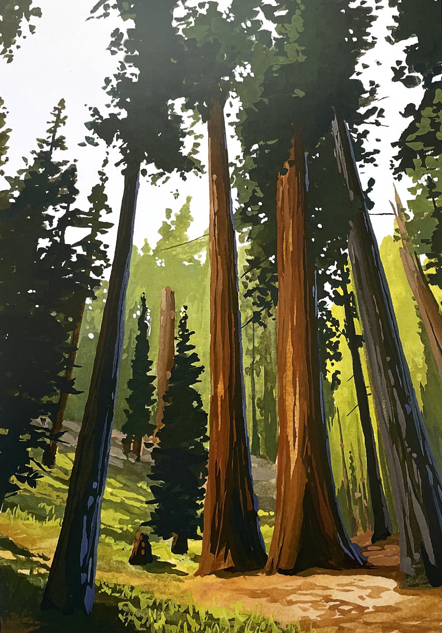 'Sequoia' National Park Art Print