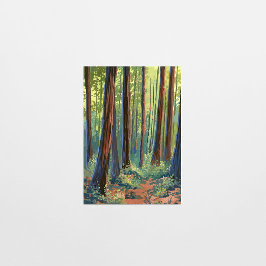'Muir Woods ii' Postcard
