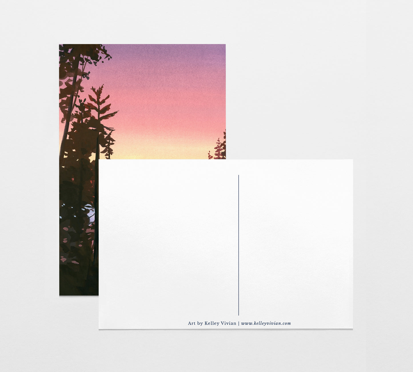 'Olympic' National Park Art Postcard