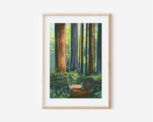 'Redwood' Fine Art Print