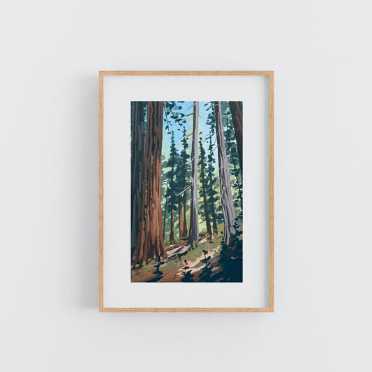 'Among the Sequoias' Original Gouache Painting