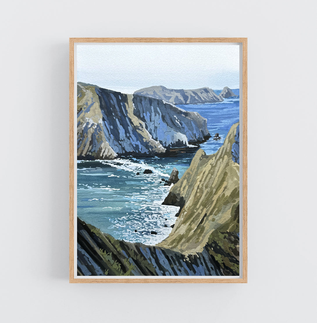 'Channel Islands' National Park Original Gouache Painting