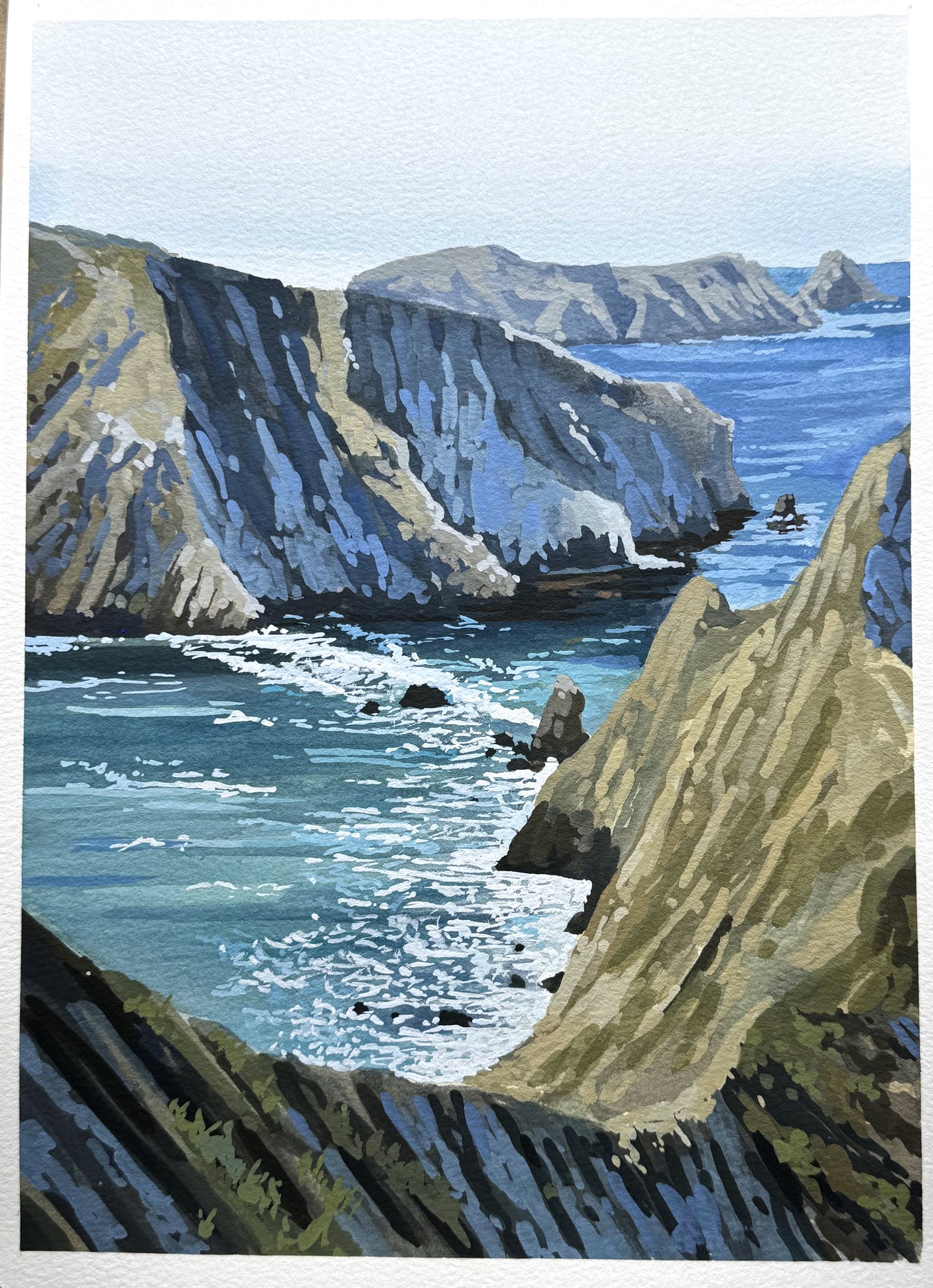 'Channel Islands' National Park Original Gouache Painting