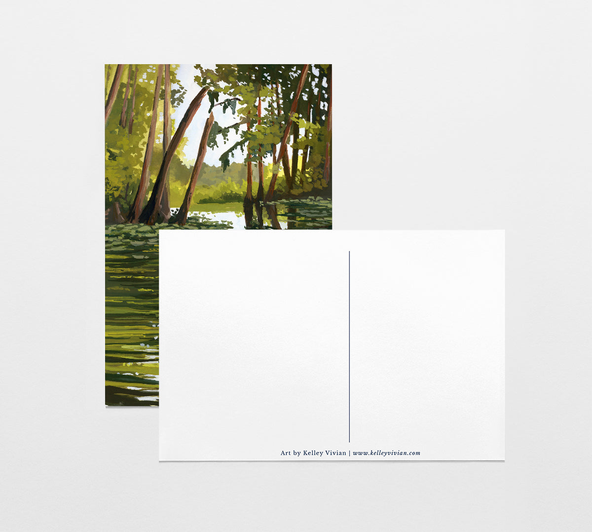 'Everglades' National Park Art Postcard