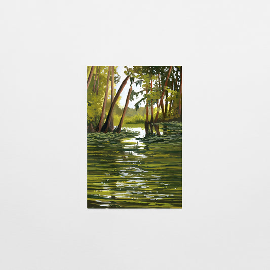 'Everglades' National Park Art Postcard