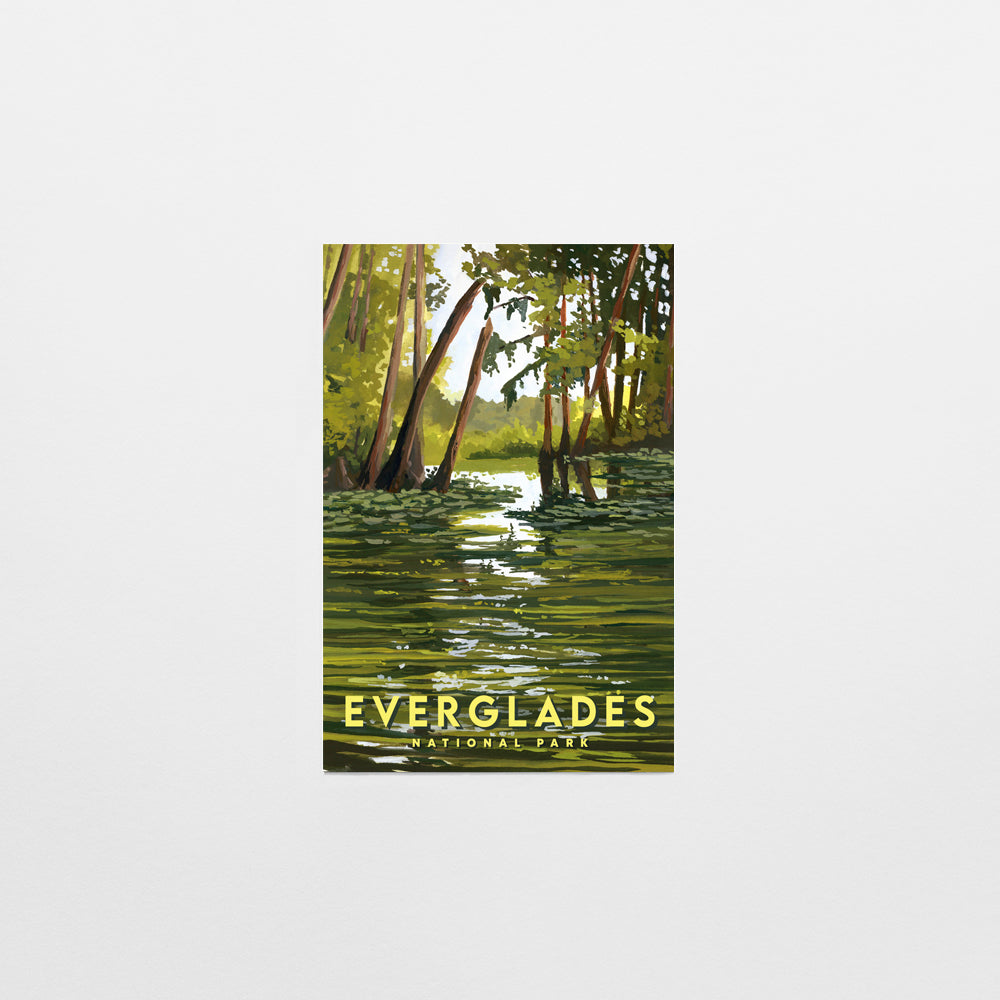 'Everglades' National Park Travel Poster Postcard