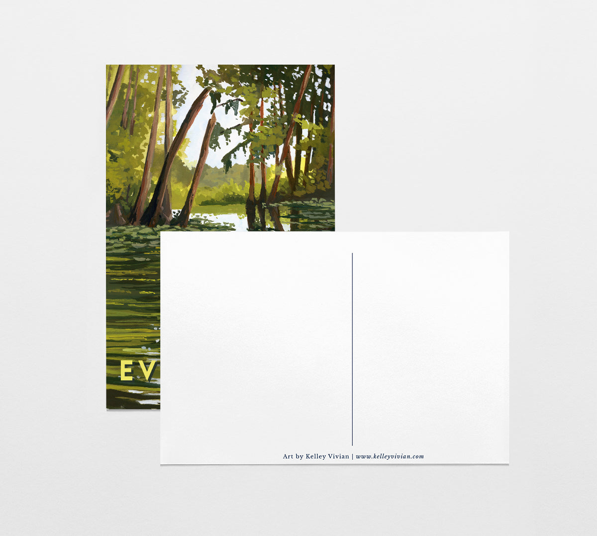 'Everglades' National Park Travel Poster Postcard