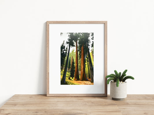 'Sequoia' National Park Art Print