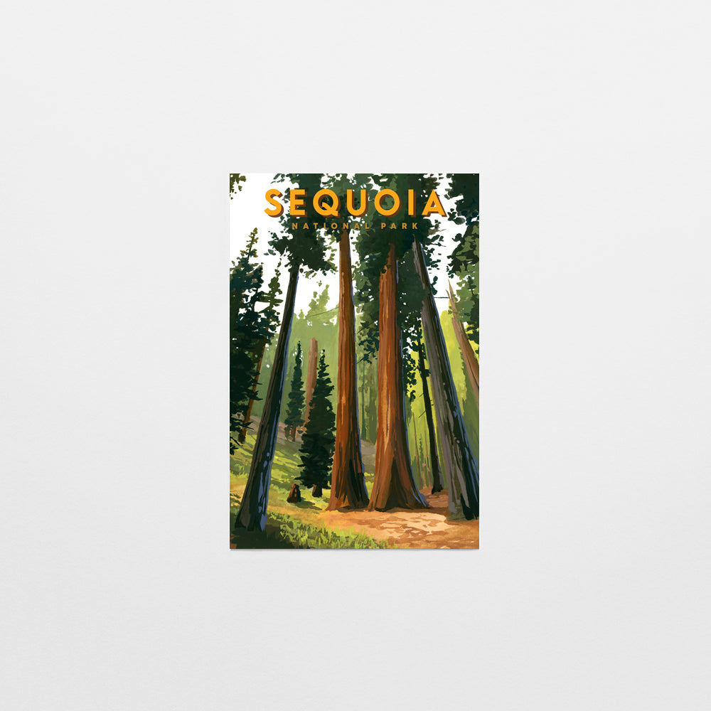 'Sequoia' National Park Travel Poster Postcard