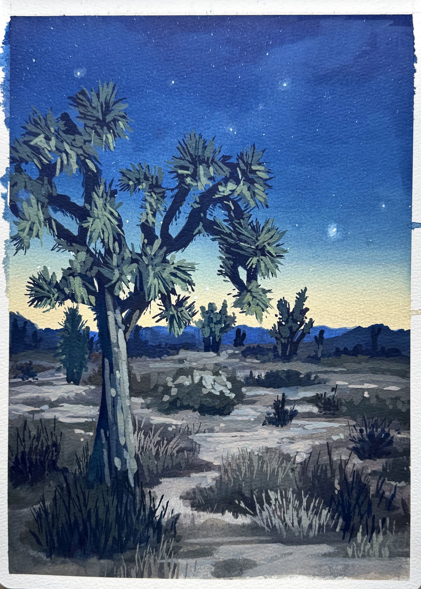 'Joshua Tree' National Park Original Gouache Painting