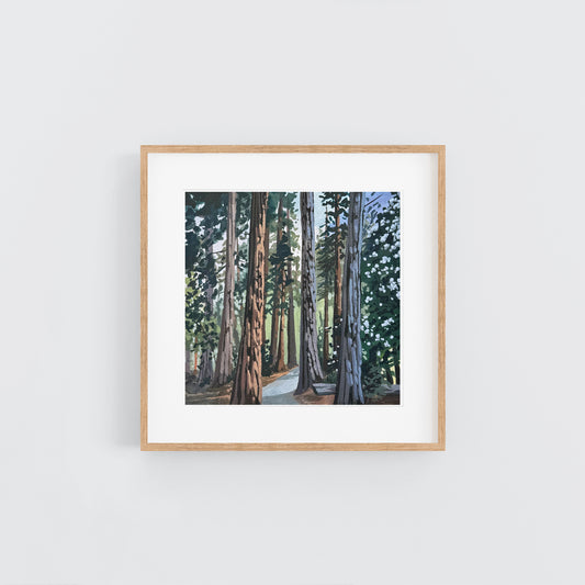 'Yosemite Trees' Original Gouache Painting