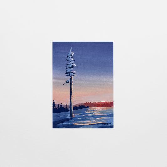 'Patience' Postcard