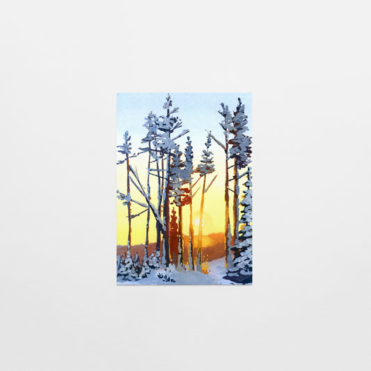 'Warmth of Winter' Postcard