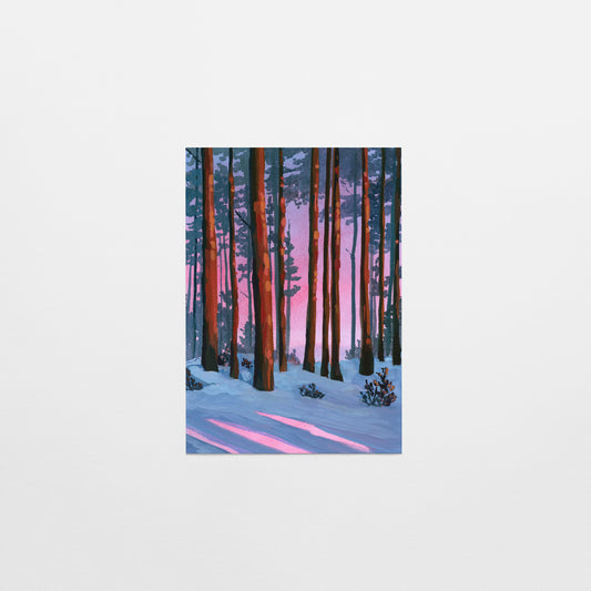 'Blazing Winter Sunset' Postcard