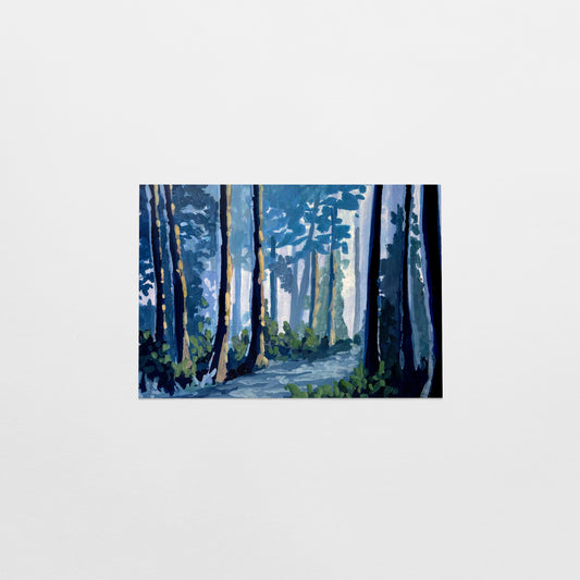 'Forest Path' Postcard