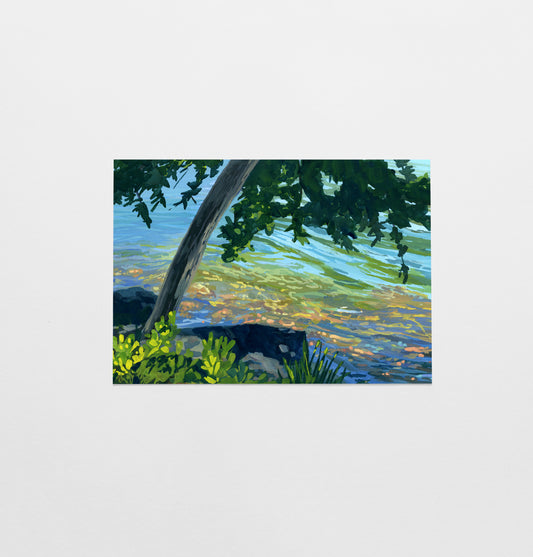 'Overlooking Jordan Pond' Postcard