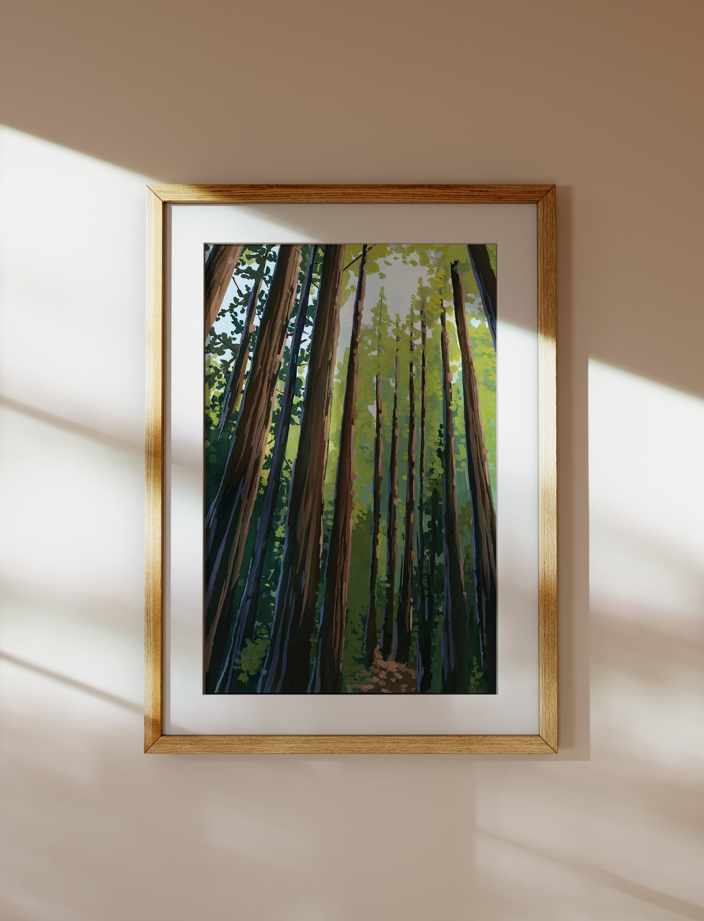 Framed image of 11x17 Art print of redwood trees in California’s Muir Woods National Monument.