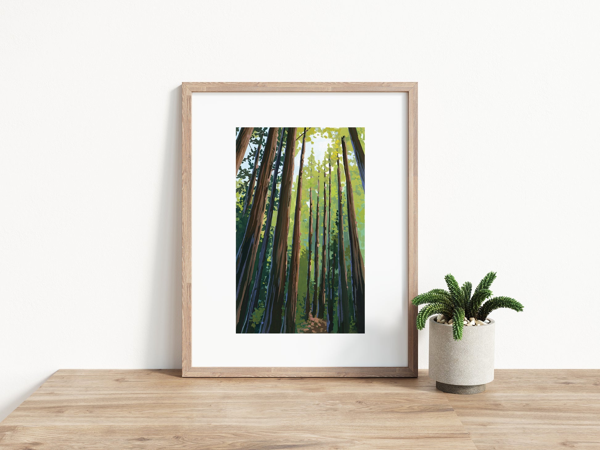 framed image of Art print of redwood trees in California’s Muir Woods National Monument.