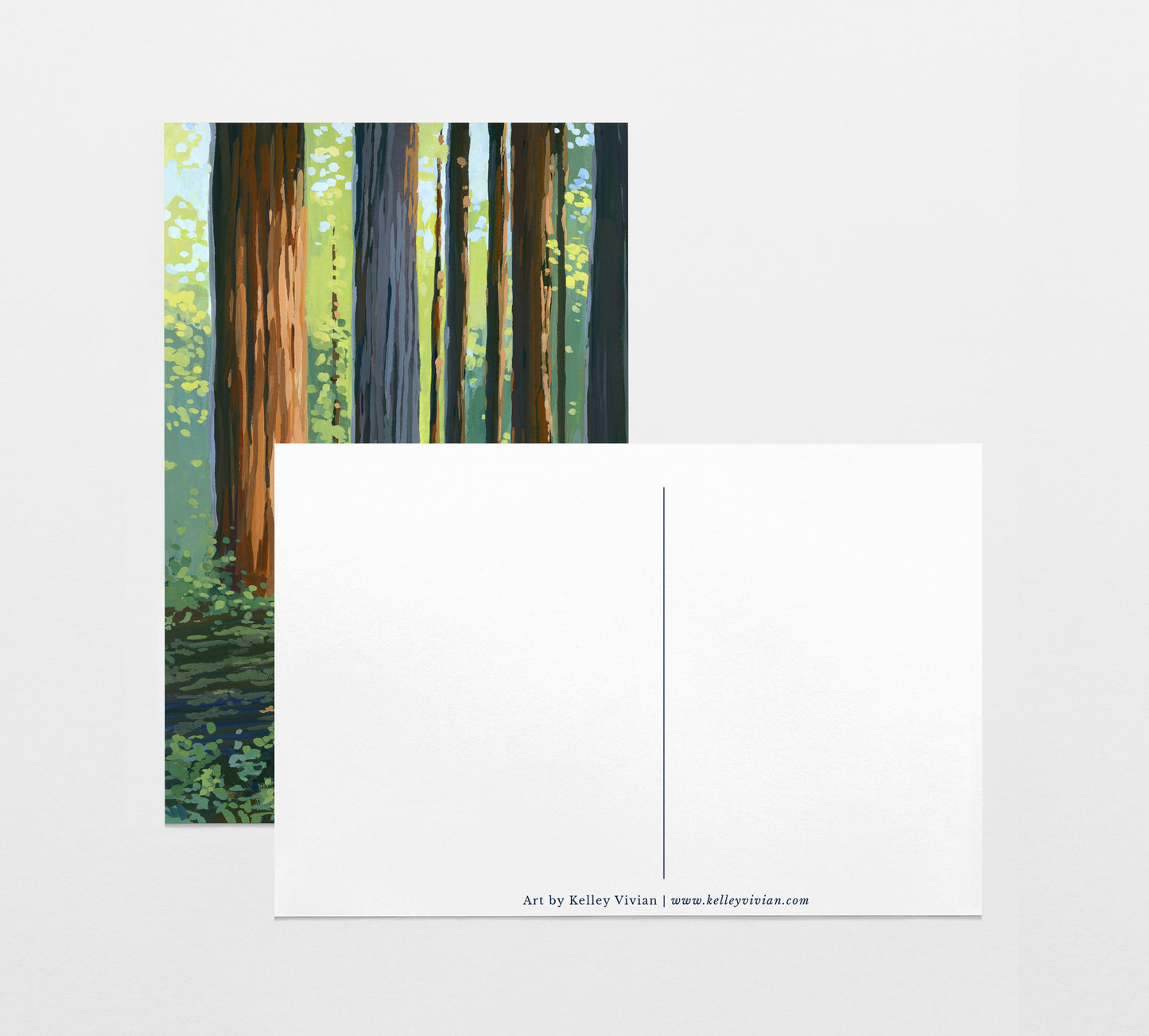 'Redwood' National Park Art Postcard