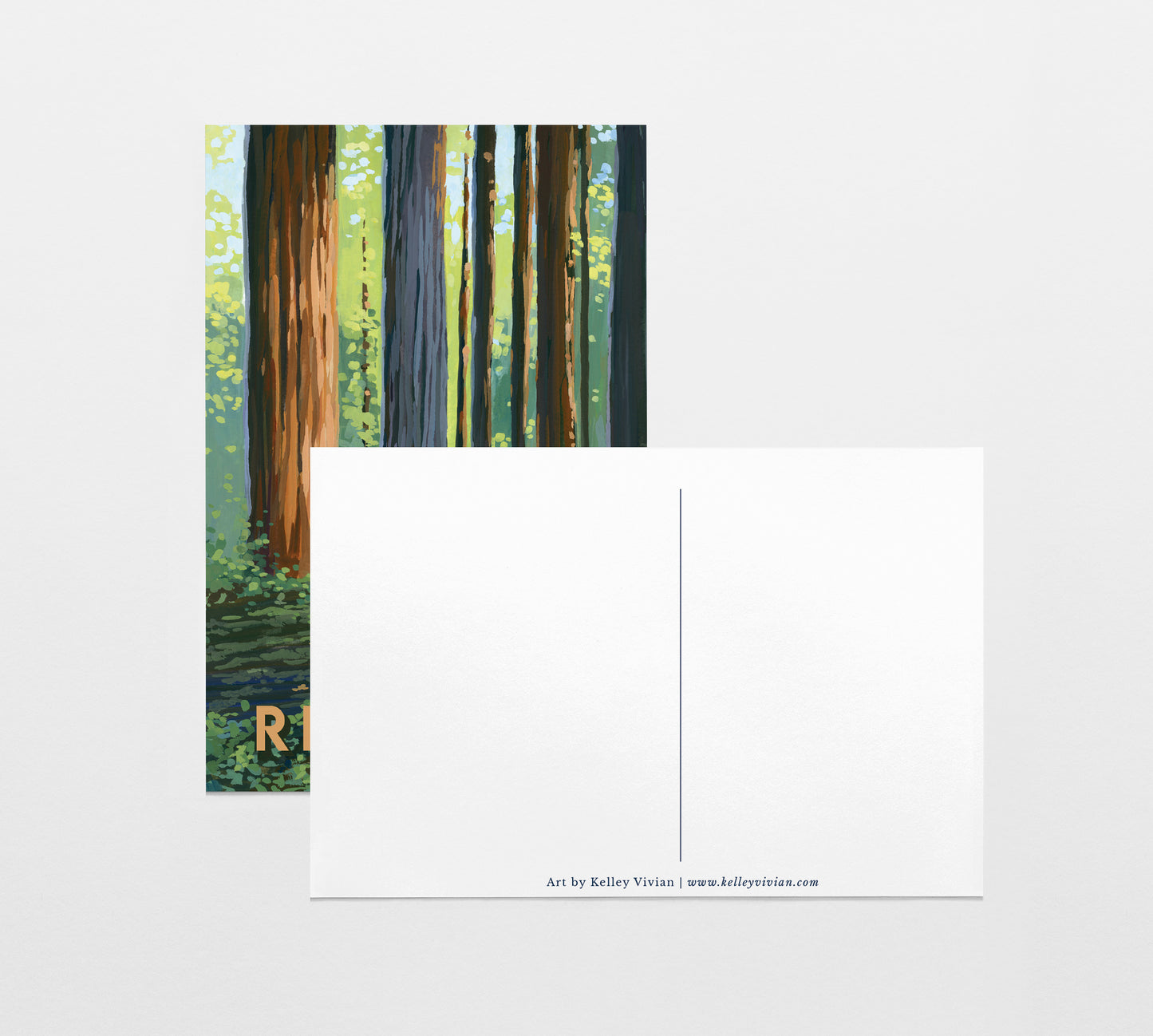 'Redwood' National Park Travel Poster Postcard