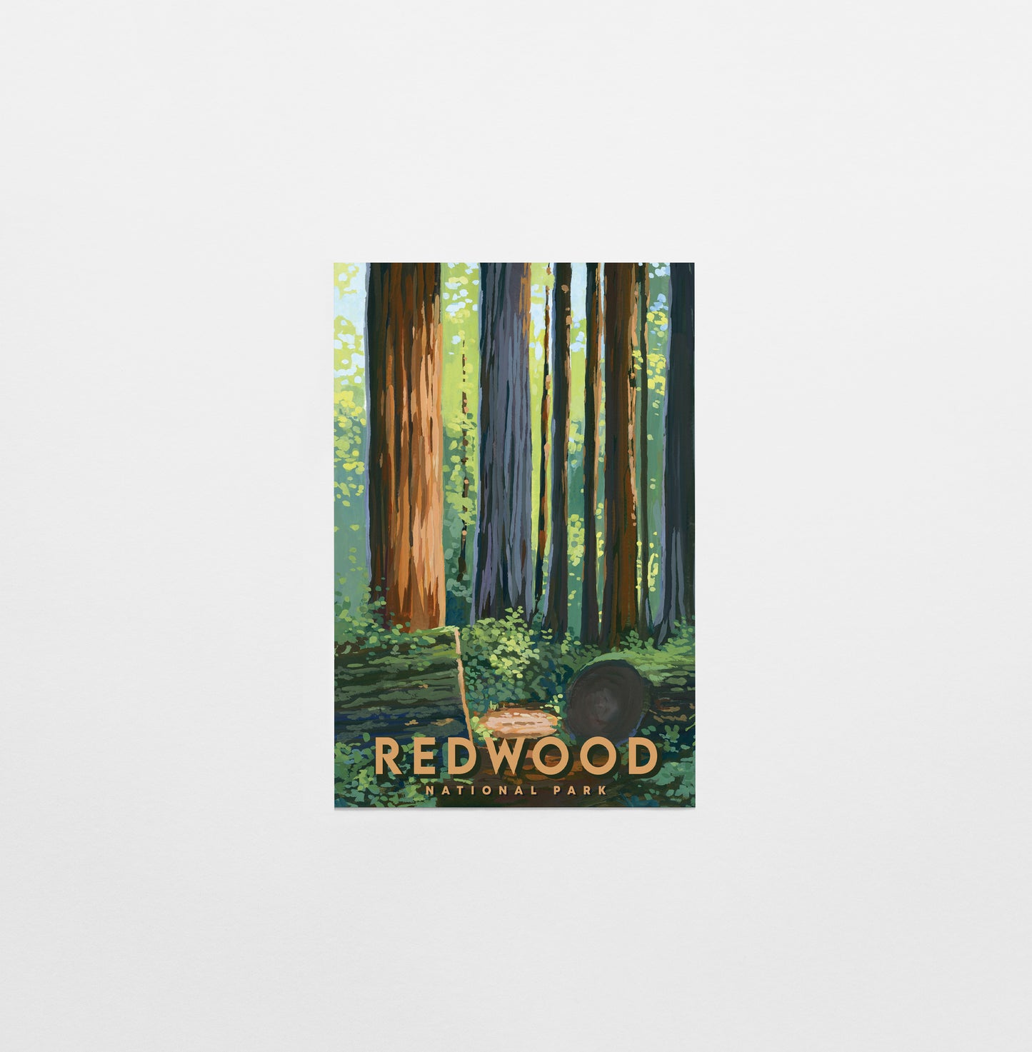 'Redwood' National Park Travel Poster Postcard