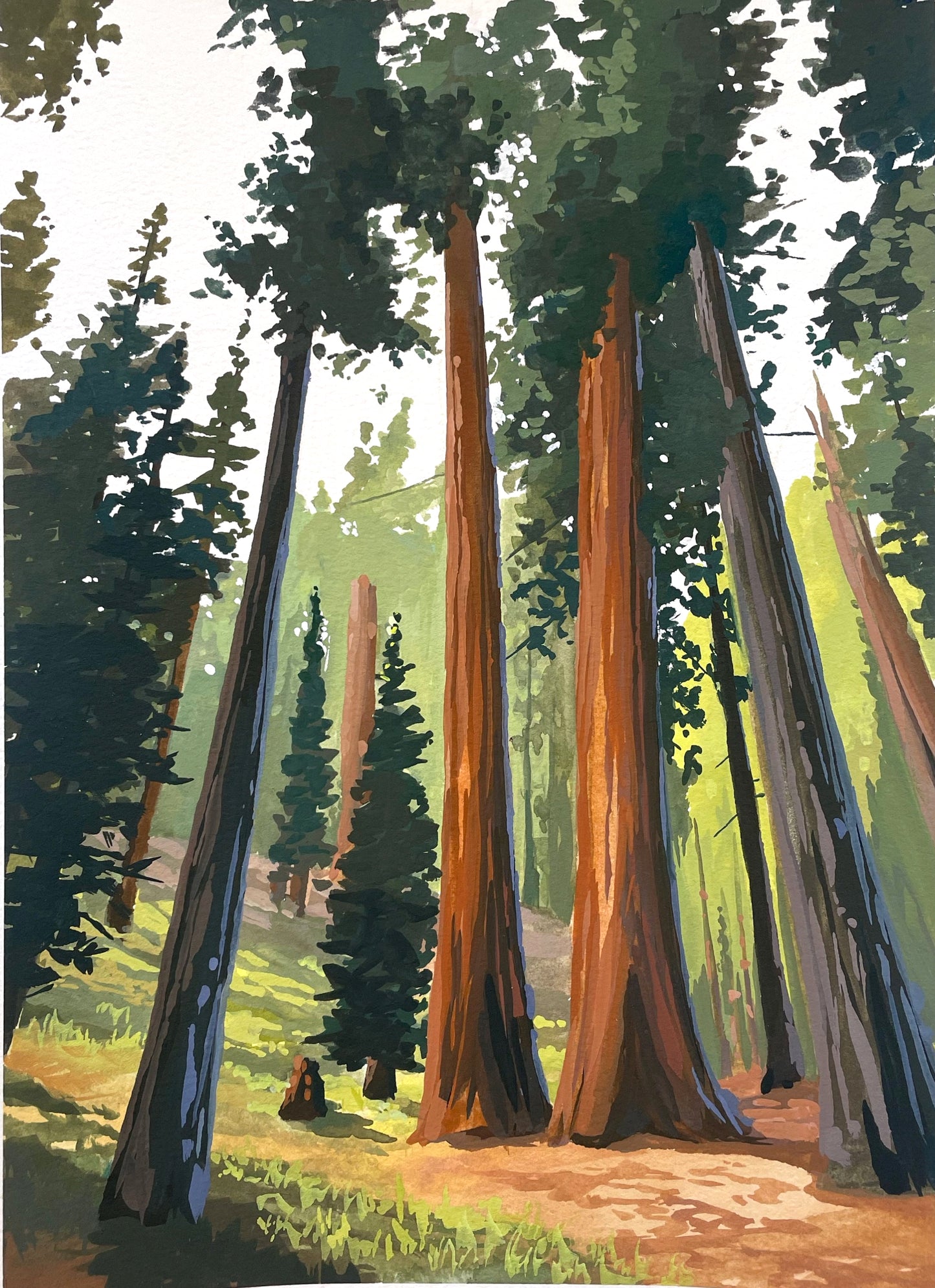 'Sequoia' National Park Original Gouache Painting