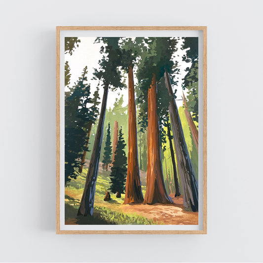 'Sequoia' National Park Original Gouache Painting