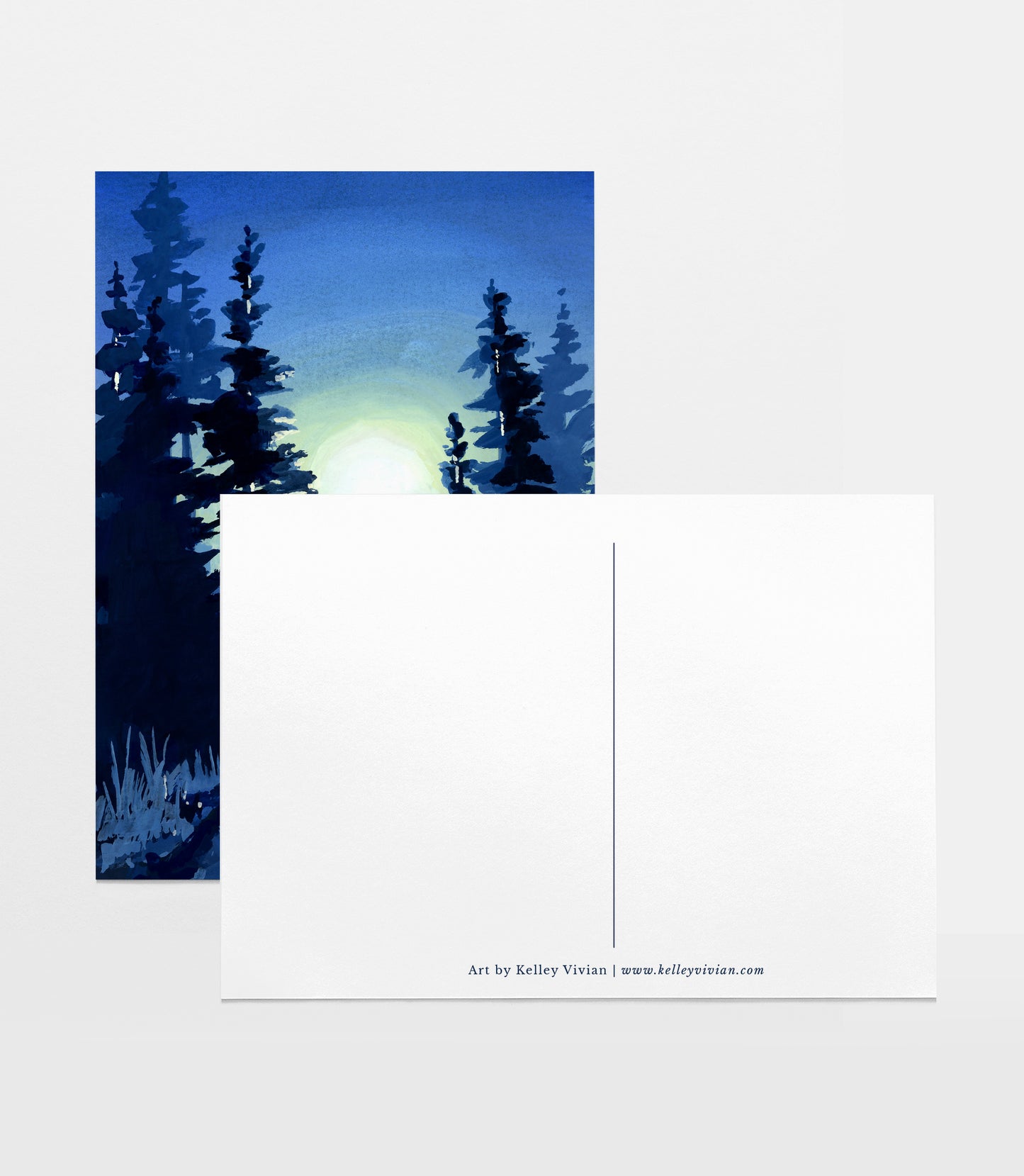 'Midnight Forest' Postcard